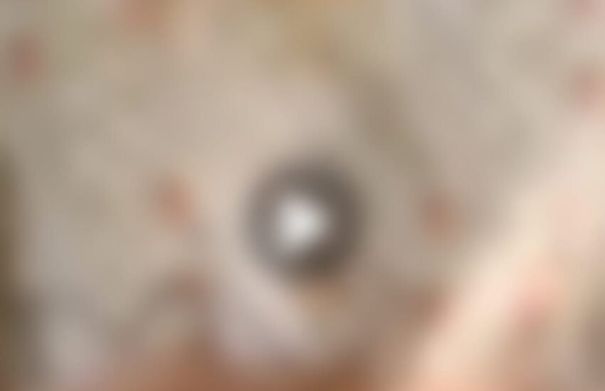 Instagram in 2026: New Trends, Features and How Creators Can Grow