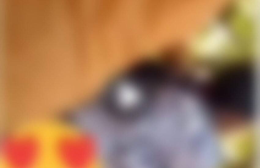 TikTok in 2026: Why Short Videos Are Still Taking Over the Internet